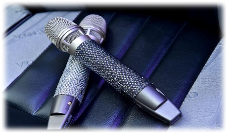 Daji Swarovski Bus