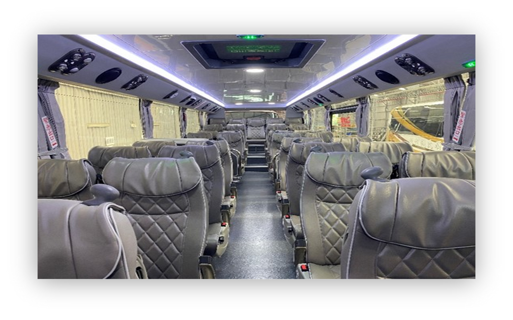 Daji Lion Travel Bus