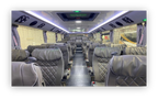 Daji Lion Travel Bus