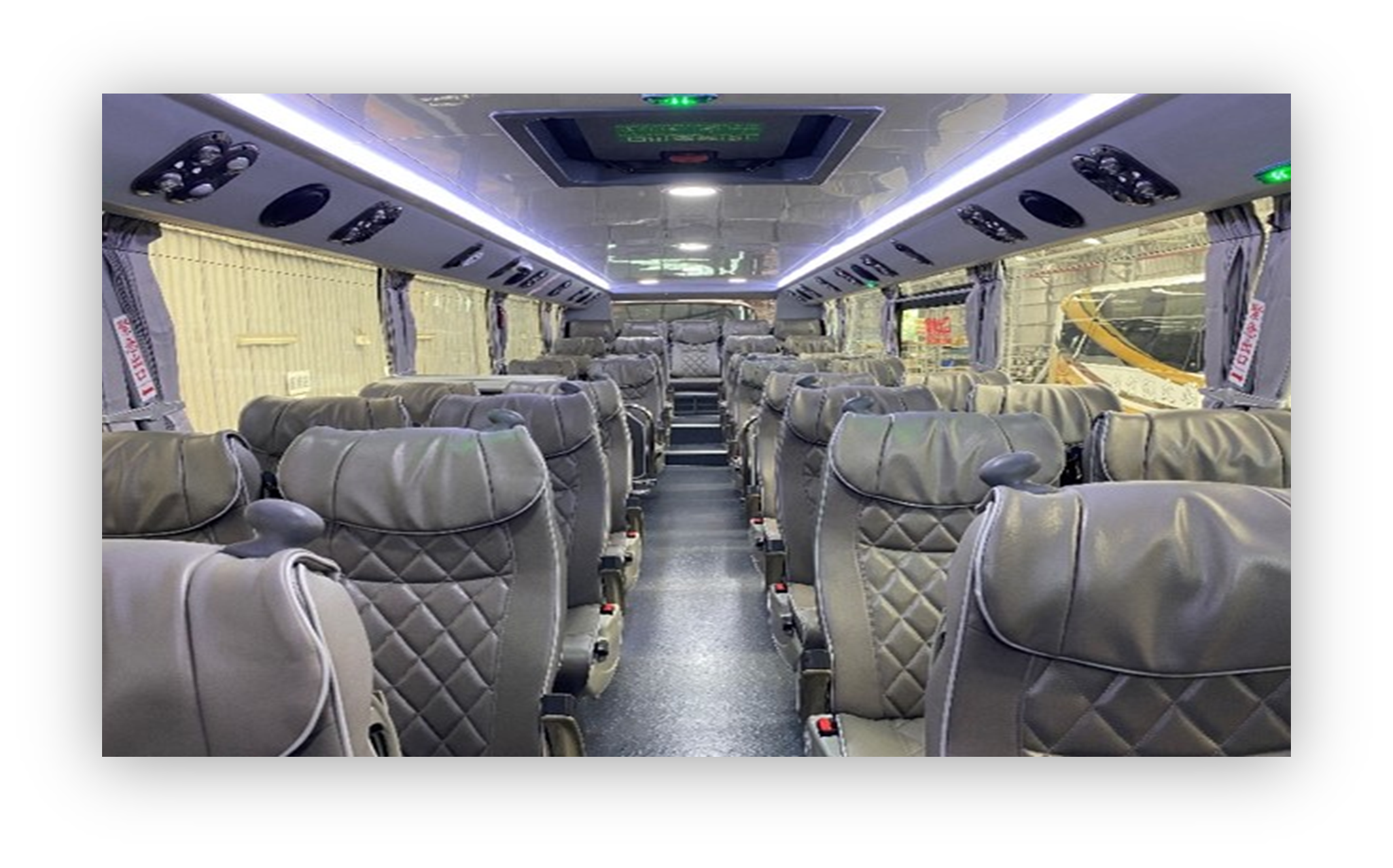 Daji Lion Travel Bus