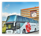 Daji Lion Travel Bus