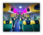 Daji Professional Baseball Team Bus