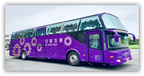 Daji Accessible Coach Bus