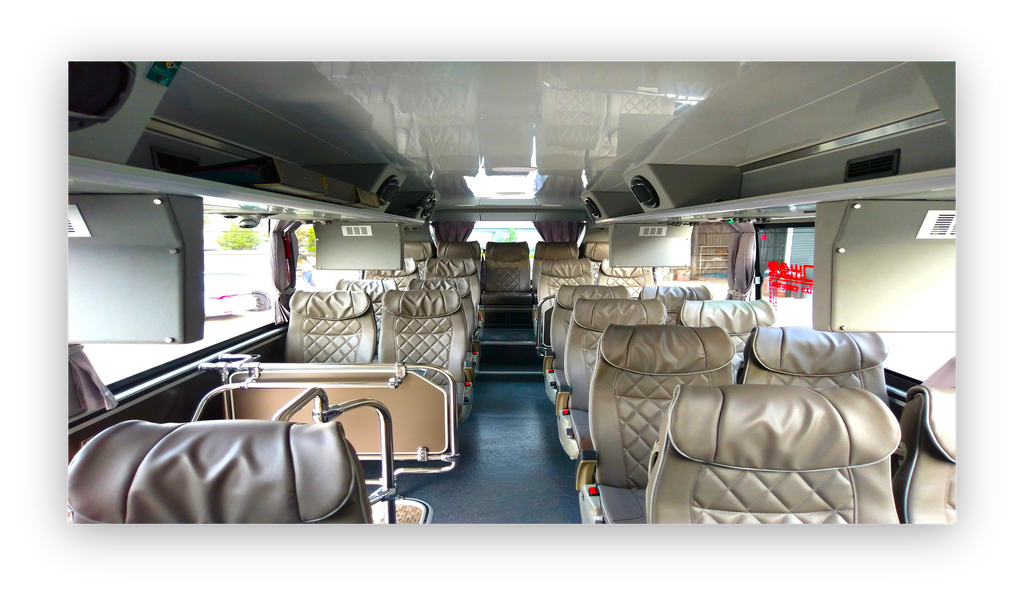 Daji Lion Travel Future Express