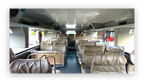 Daji Lion Travel Future Express